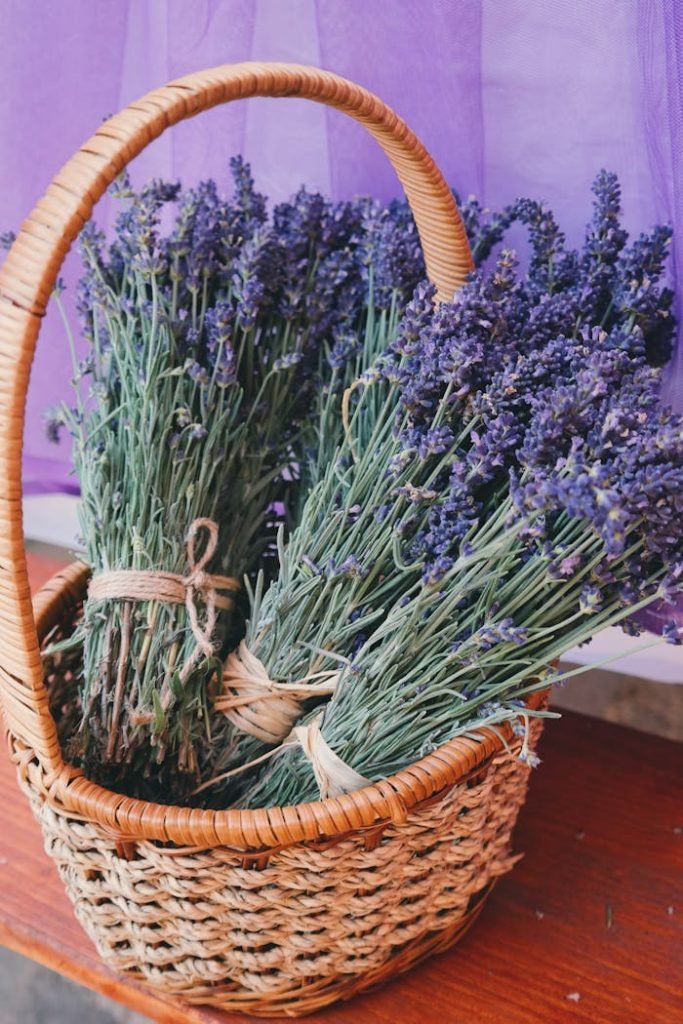 A wicker basket filled with fresh lavender bundles showcasing natural beauty.